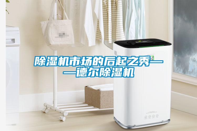 91看片网站视频機市場的後起之秀——德爾91看片网站视频機