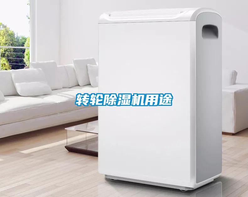 轉輪91看片网站视频機用途