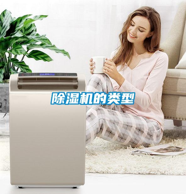 91看片网站视频機的類型
