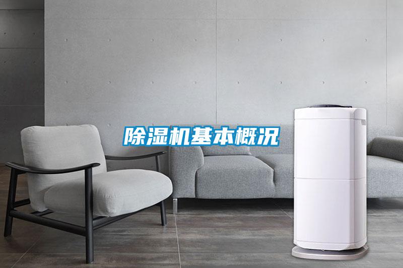 91看片网站视频機基本概況