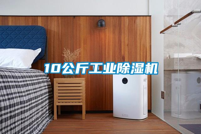 10公斤工業91看片网站视频機