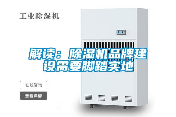 解讀：91看片网站视频機品牌建設需要腳踏實地