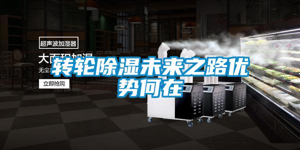轉輪91看片网站视频未來之路優勢何在