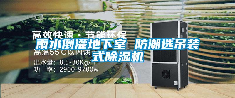 雨水倒灌地下室 防潮選吊裝式91看片网站视频機