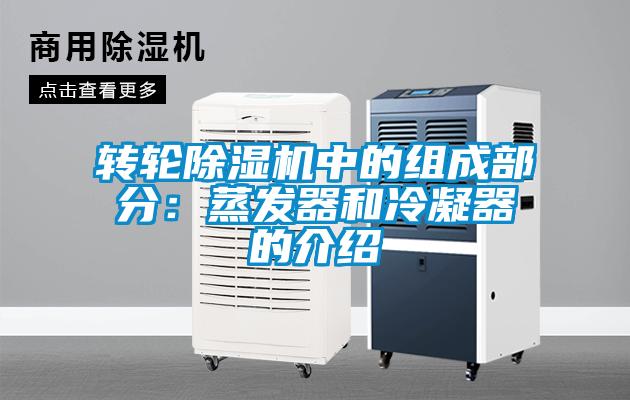 轉輪91看片网站视频機中的組成部分：蒸發器和冷凝器的介紹