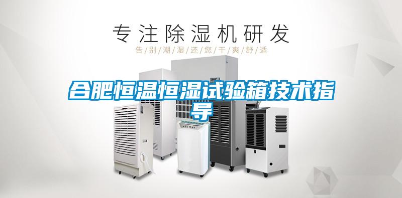合肥恒溫恒濕試驗箱技術指導