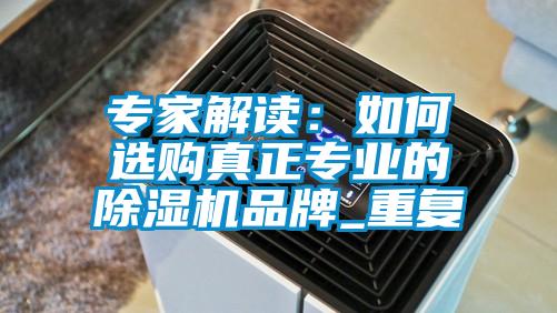 專家解讀：如何選購真正專業的91看片网站视频機品牌_重複