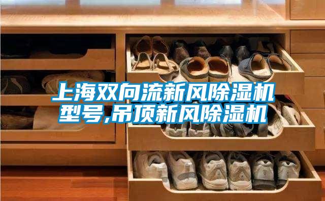 上海雙向流新風91看片网站视频機型號,吊頂新風91看片网站视频機