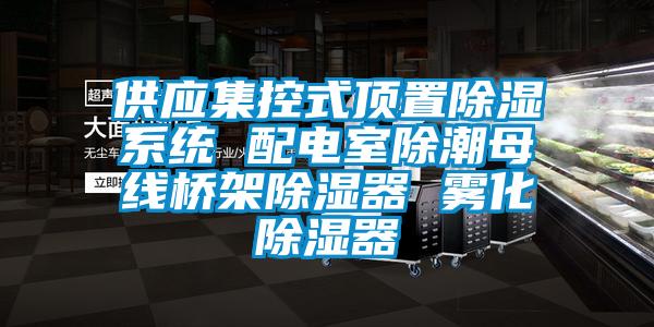 供應集控式頂置91看片网站视频係統 配電室除潮母線橋架91看片网站视频器 霧化91看片网站视频器