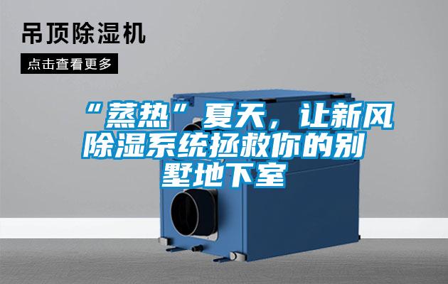 “蒸熱”夏天，讓新風91看片网站视频係統拯救你的別墅地下室