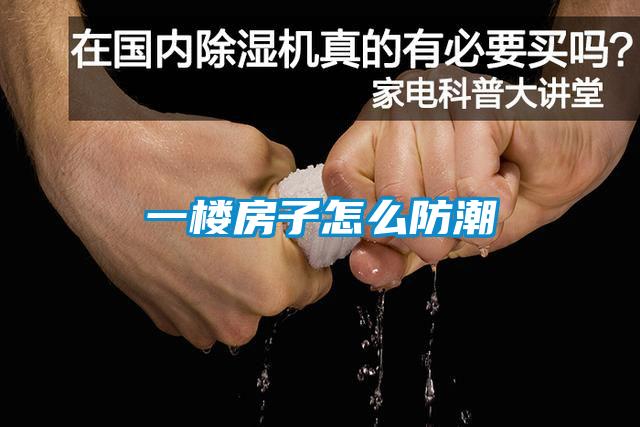 一樓房子怎麽防潮