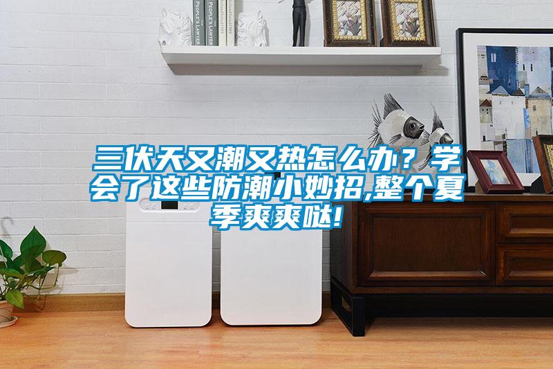 三伏天又潮又熱怎麽辦？學會了這些防潮小妙招,整個夏季爽爽噠!