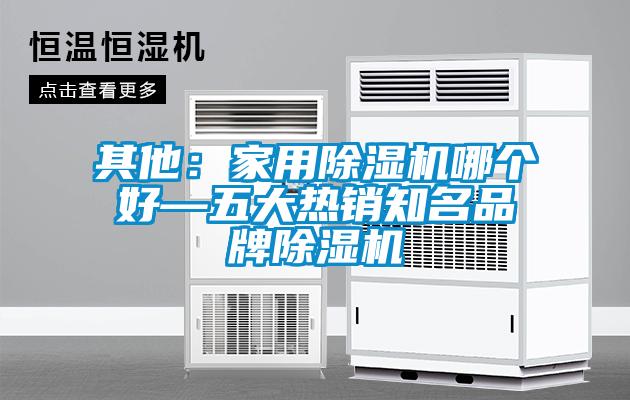 其他：家用91看片网站视频機哪個好—五大熱銷知名品牌91看片网站视频機