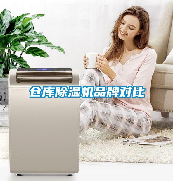 倉庫91看片网站视频機品牌對比