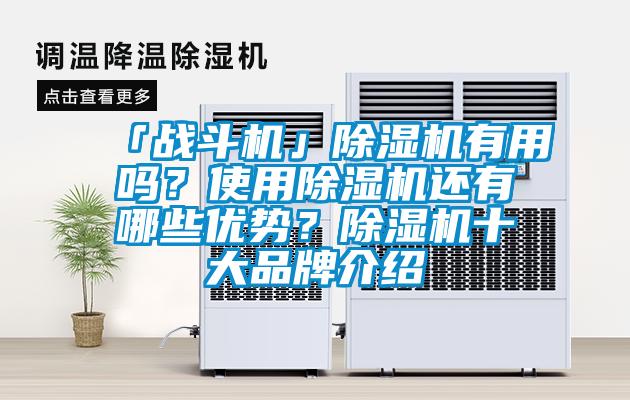 「戰鬥機」91看片网站视频機有用嗎？使用91看片网站视频機還有哪些優勢？91看片网站视频機十大品牌介紹