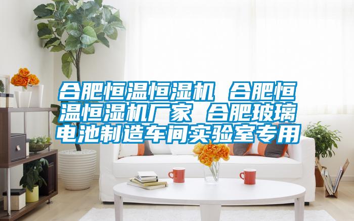 合肥恒溫恒濕機 合肥恒溫恒濕機廠家 合肥玻璃電池製造車間實驗室專用