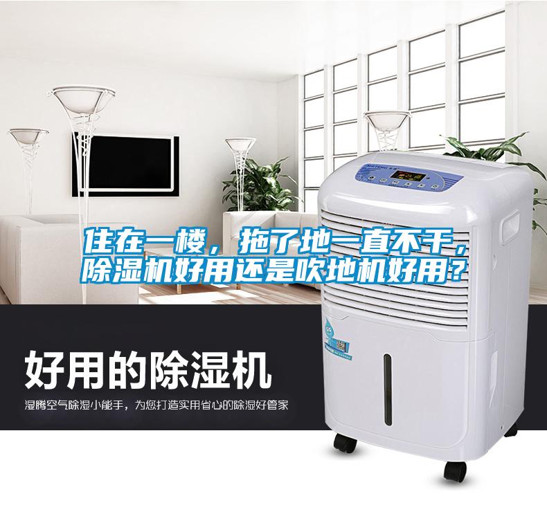 住在一樓，拖了地一直不幹，91看片网站视频機好用還是吹地機好用？