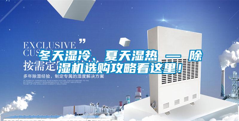 冬天濕冷、夏天濕熱 — 91看片网站视频機選購攻略看這裏！