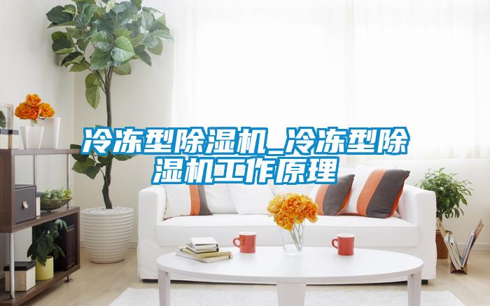 冷凍型91看片网站视频機_冷凍型91看片网站视频機工作原理