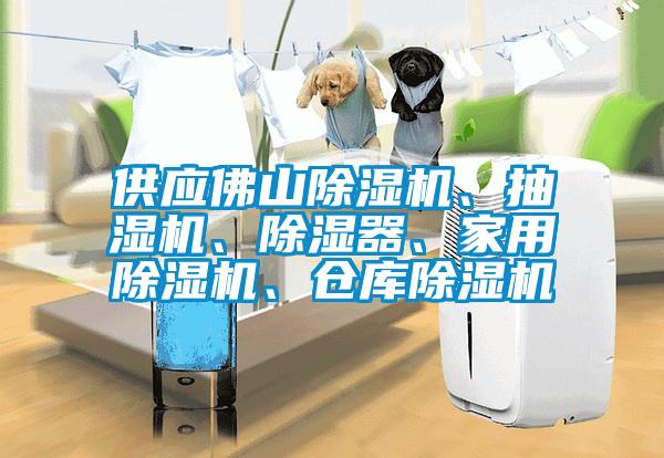 供應佛山91看片网站视频機、抽濕機、91看片网站视频器、家用91看片网站视频機、倉庫91看片网站视频機
