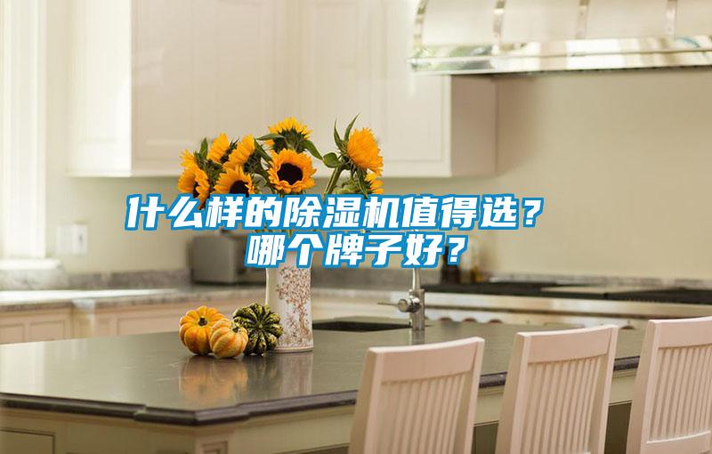 什麽樣的91看片网站视频機值得選？ 哪個牌子好？