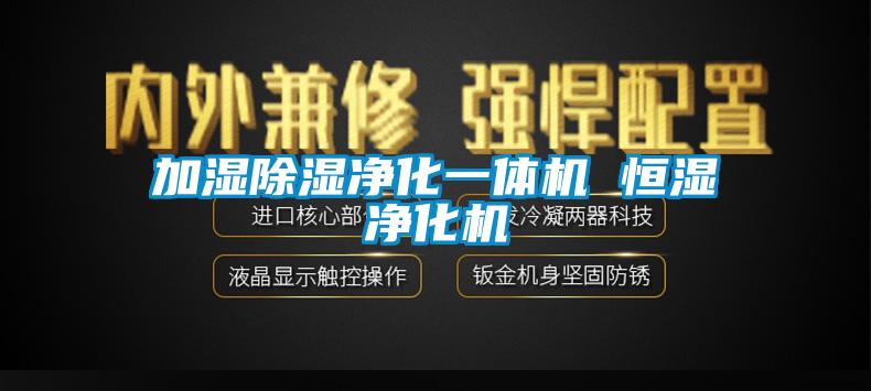 加濕91看片网站视频淨化一體機 恒濕淨化機