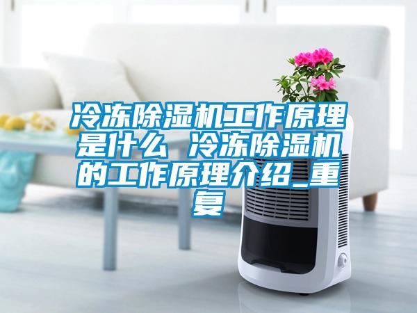 冷凍91看片网站视频機工作原理是什麽 冷凍91看片网站视频機的工作原理介紹_重複
