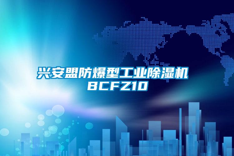 興安盟防爆型工業91看片网站视频機 BCFZ10