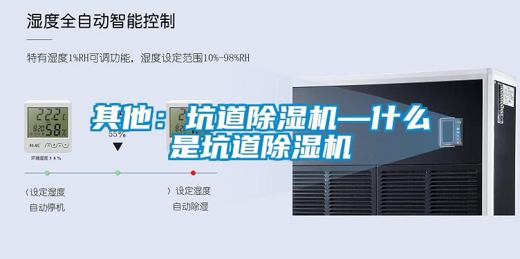 其他：坑道91看片网站视频機—什麽是坑道91看片网站视频機