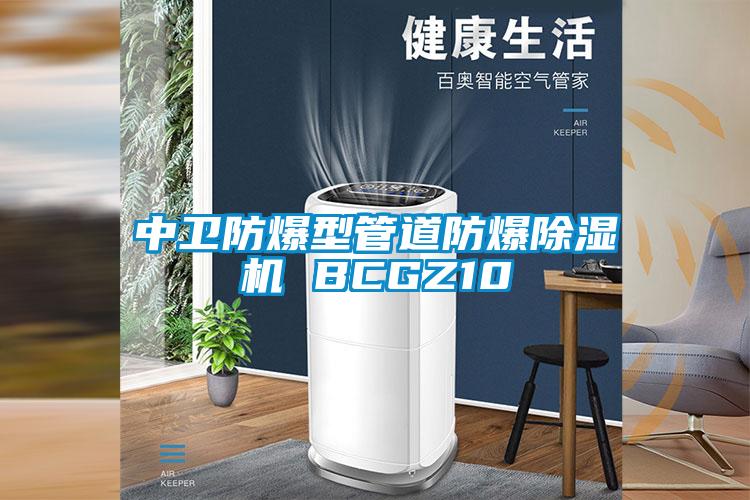 中衛防爆型管道防爆91看片网站视频機 BCGZ10