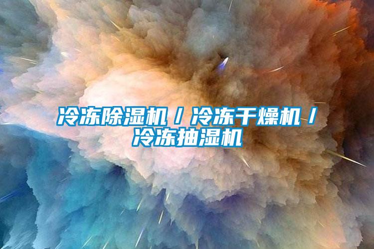 冷凍91看片网站视频機／冷凍幹燥機／冷凍抽濕機