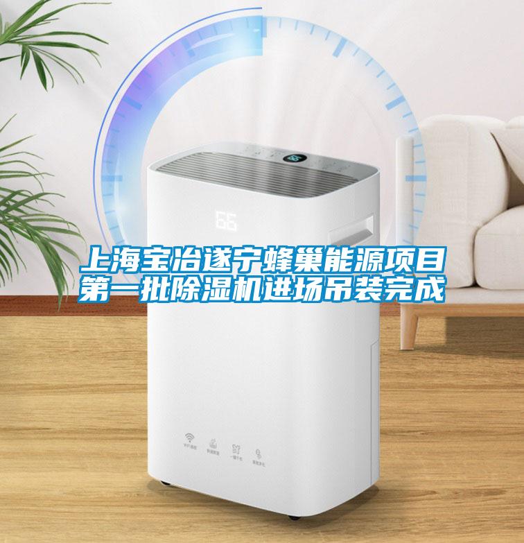 上海寶冶遂寧蜂巢能源項目第一批91看片网站视频機進場吊裝完成