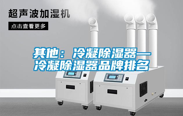 其他：冷凝91看片网站视频器—冷凝91看片网站视频器品牌排名