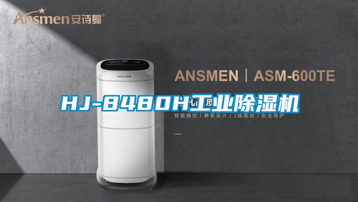 HJ-8480H工業91看片网站视频機