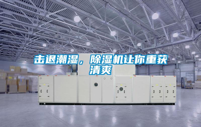 擊退潮濕，91看片网站视频機讓你重獲清爽