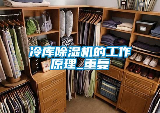 冷庫91看片网站视频機的工作原理_重複