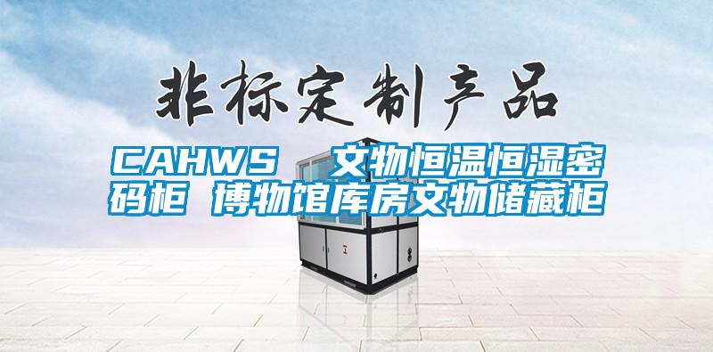 CAHWS  文物恒溫恒濕密碼櫃 博物館庫房文物儲藏櫃