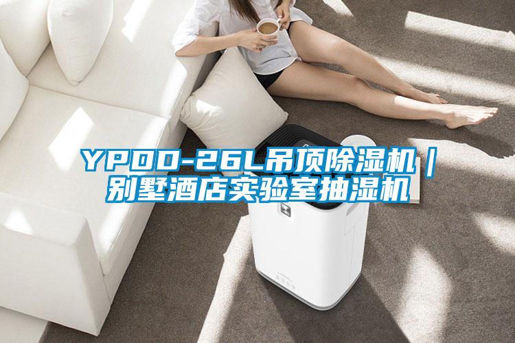 YPDD-26L吊頂91看片网站视频機｜別墅酒店實驗室抽濕機