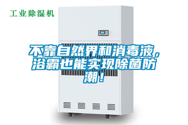不靠自然界和消毒液，浴霸也能實現除菌防潮！
