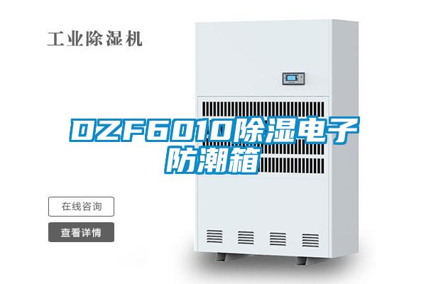 DZF601091看片网站视频電子防潮箱