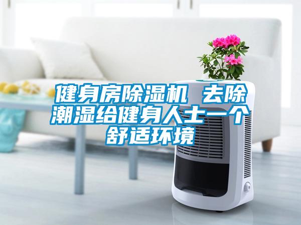 健身房91看片网站视频機 去除潮濕給健身人士一個舒適環境