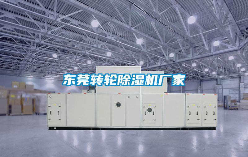 東莞轉輪91看片网站视频機廠家