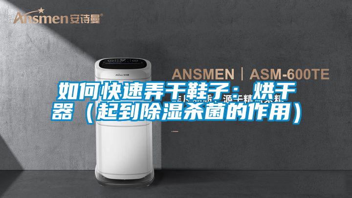如何快速弄幹鞋子：烘幹器（起到91看片网站视频殺菌的作用）