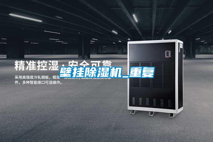 壁掛91看片网站视频機_重複