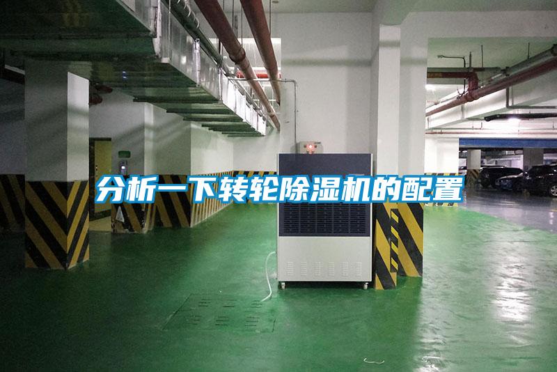 分析一下轉輪91看片网站视频機的配置