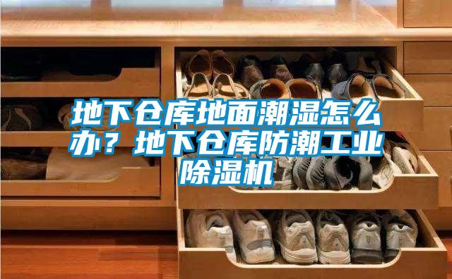 地下倉庫地麵潮濕怎麽辦？地下倉庫防潮工業91看片网站视频機