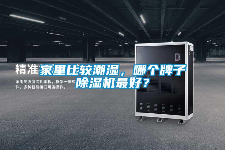 家裏比較潮濕，哪個牌子91看片网站视频機最好？