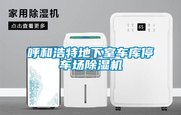 呼和浩特地下室車庫停車場91看片网站视频機