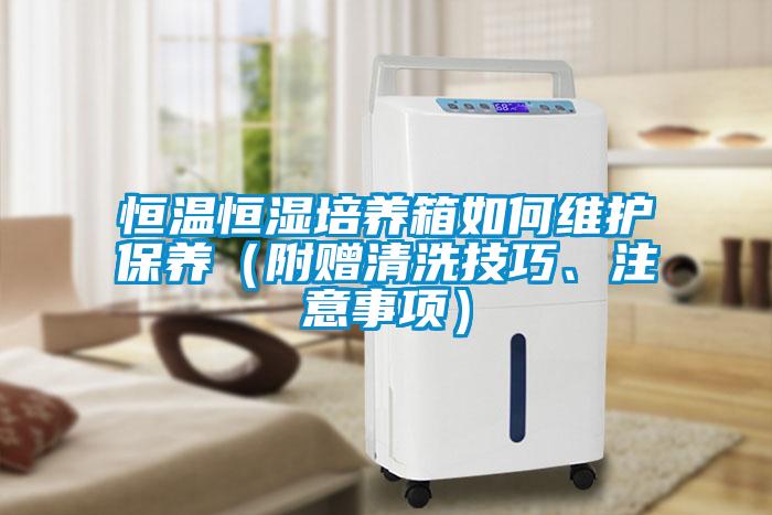 恒溫恒濕培養箱如何維護保養（附贈清洗技巧、注意事項）