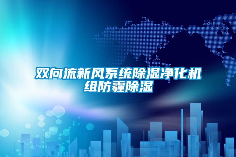 雙向流新風係統91看片网站视频淨化機組防霾91看片网站视频